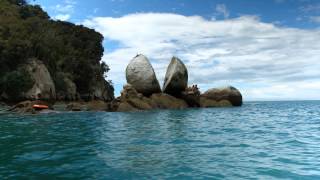 Things to do – Nelson New Zealand [upl. by Lered752]