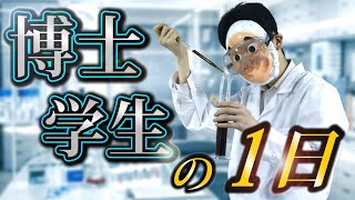 【最高学歴】理系最高峰の世界。「博士課程」に進学するとどうなるのか？ [upl. by Glynnis]