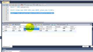 SQL Complete Tutorial  Example to find NULL and NOT NULL values  Chapter 19 [upl. by Ardnohs]