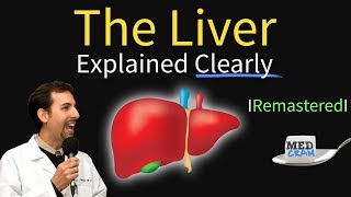 Liver Explained Function Pathology Diseases amp Cirrhosis [upl. by Ahsertal862]