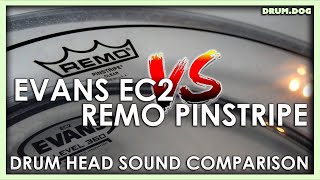 Evans EC2 VS Remo Pinstripe  Tom Head Sound Comparison  Drum Dog [upl. by Alayne]