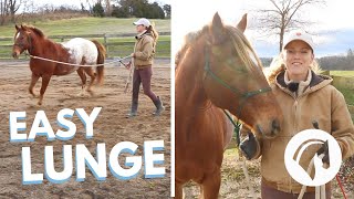 HOW TO TEACH A HORSE TO LUNGE 🐴 [upl. by Eskill]