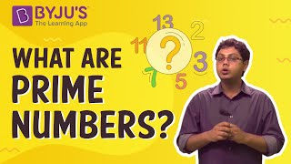 Prime Numbers  Introduction With Examples [upl. by Letta]