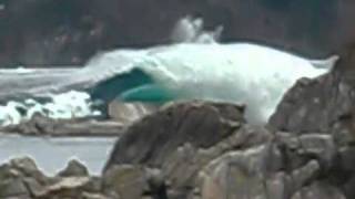 Japan Tsunami Wave Encounter [upl. by Kendricks]