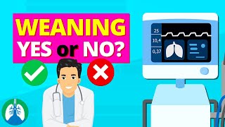 Ventilator Settings for Weaning TMC Practice Question  Respiratory Therapy Zone [upl. by Ettenawtna]