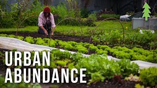 Organic Urban Farming on a 12Acre Property  Urban Abundance [upl. by Salisbury]