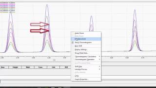 LabSolutions LCGC Workstation Basic Data Analysis [upl. by Adiehsar365]