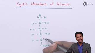 Cyclic Structure of Glucose  Biomolecules  Chemistry Class 12 [upl. by Atirec]