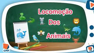 Locomoção dos animais  Ciências Professora Margerlandia [upl. by Aurora]