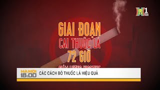 Cách bỏ thuốc lá hiệu quả  HANOITV [upl. by Noami774]