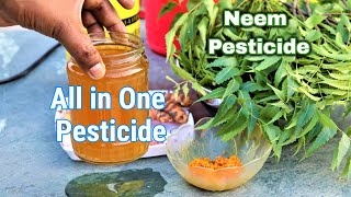 How to make organic Neem pesticide at home  Best natural pesticide from neem leaves and turmeric [upl. by Nowyt933]