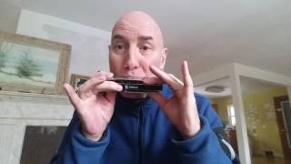 Review of Swan SW1248M Master 12 hole chromatic harmonica by David Kettlewell [upl. by Acnaiv]