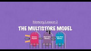 The multi store model of memory AQA ALevel [upl. by Ibby]