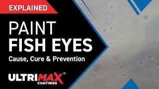 Explained What Causes Fish Eyes In Paint Finish [upl. by Hnahc]