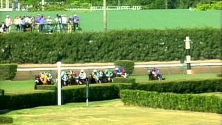 1992 Breeders Cup Mile [upl. by Adnaugal]