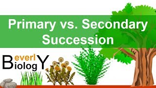 Primary vs Secondary Ecological Succession [upl. by Repsac785]