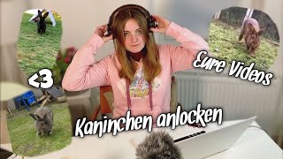 Kaninchen anlocken  Eure Videos [upl. by Meave880]