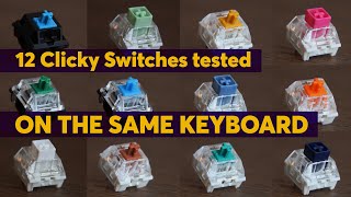 The Ultimate CLICKY SWITCHES Sound Test Compilation  Hear the Difference on a Full Keyboard [upl. by Hales]