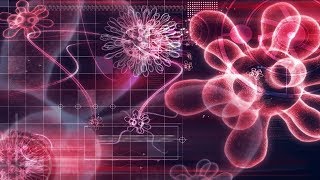 The Evolution Of Viruses  Science Full Documentary  The Deadliest Viruses In The World [upl. by Berke]