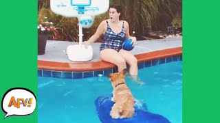 HOWLING For HOOPS 🐶😆  Funniest Animals  AFV 2020 [upl. by Nadab111]