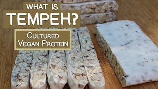 What is Tempeh A Cultured Vegan Protein Source [upl. by Humble70]