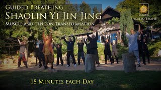 易筋經 · Yi Jin Jing with Guided Breathing · inkl Anleitung [upl. by Lombardo]