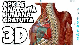 Atlas de Anatomía Humana en 3D Gratis [upl. by Rothenberg]