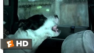 Squeaky Dog  Snatch 38 Movie CLIP 2000 HD [upl. by Dreddy]