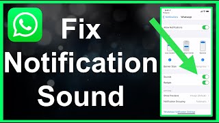 How To Fix WhatsApp Notification Sound EASY [upl. by Anaiad]