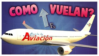 ¿Cómo hace un avión para volar [upl. by Elephus]