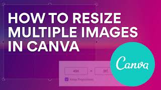 Resizing multiple images to be the same size in Canva [upl. by Nilyad]