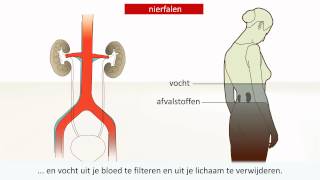 Nieraandoening  Oorzaak en behandeling [upl. by Aik89]