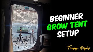 Building a Complete Grow Tent Setup for Beginners Everything NEEDED [upl. by Annibo]