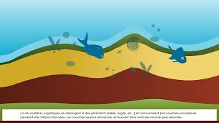 formation des gisements petrolier et gazier [upl. by Amery]