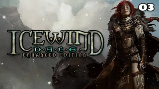 Icewind Dale – Playthrough  Part 3 [upl. by Brechtel]