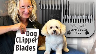 Dog Grooming Clipper BladesEverything You Need to Know [upl. by Llerrom]