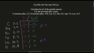 Biochemistry  Calculate the pI isoelectric point of the peptide species  protein [upl. by Reinold]