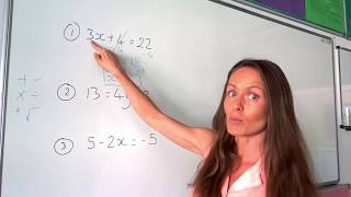 The Maths Prof Solving Linear Equations part 1 [upl. by Sakovich320]