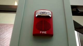 Fire Alarm Activation Due to Suppression System [upl. by Haeel921]