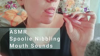 ASMR  Spoolie Nibbling  Mouth Sounds [upl. by Dixon713]