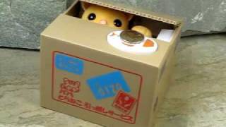 Itazura Coin Bank Mikeneko Kitty [upl. by Suraved319]