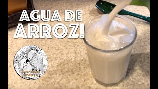 Agua de Arroz  Agua de Horchata [upl. by Inalawi]