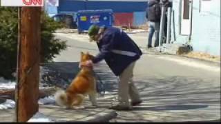 Hachiko A Dogs Story Behind The Scenes [upl. by Notsgnik313]