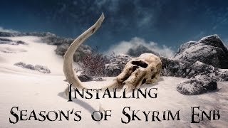 Skyrim  How to Install Seasons of Skyrim ENB Presets Detailed [upl. by Bridgette]