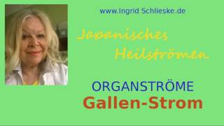 Japanisches Heilströmen Gallenstrom [upl. by Halika]