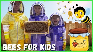 Learn About Bees for Kids  Pollination for Kids  Beekeeping for Kids [upl. by Prissy847]