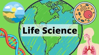 A Year of Life Science in 3 Minutes [upl. by Yras539]