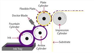 Flexographic Printing Explained [upl. by Nodarb780]