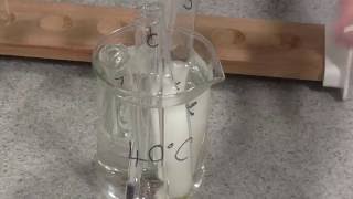 Enzyme Rate of Reaction Trypsin [upl. by Baumbaugh]