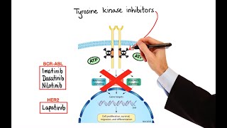 Pharmacology  CANCER DRUGS – CELL CYCLE INHIBITORS MADE EASY [upl. by Enilaf116]